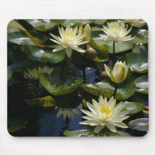 Gelbe Wasserlilie Mousepad