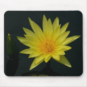 Gelbe Wasserlilie Mousepad