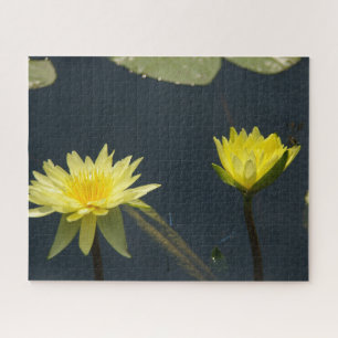 Gelbe Wasserlilien Dragonfly Jigsaw Puzzle