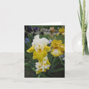 Gelbe weiße Iris-kleine Anmerkungs-Karte Karte