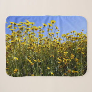 Gelbe Wildblume Sherpadecke