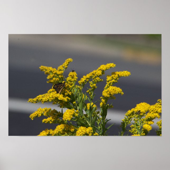 Gelbe Wildblumen mit Butterfly-Poster Poster (Vorne)