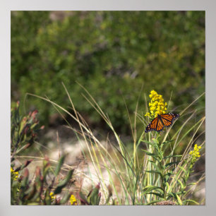 Gelbe Wildblumen mit Butterfly-Poster Poster