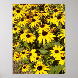 Gelbe Wildblumen Poster
