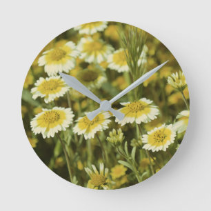 Gelbe Wildblumen Runde Wanduhr