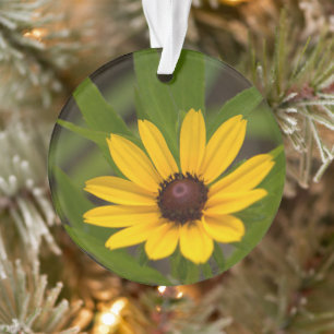 Gelbe Wildblumen-Verzierung Ornament