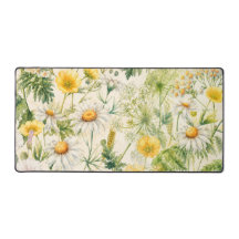 Gelbe Wilde Schmetterlingsblume Botanische Aquarel