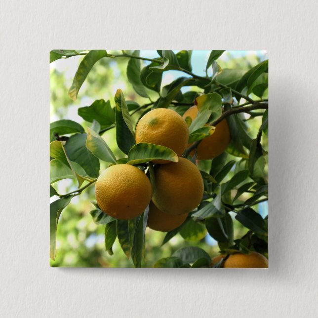 Gelbe Zitronen auf dem Baum Button (Vorderseite)