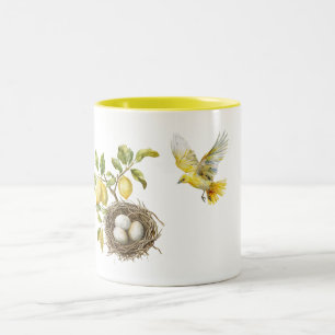 Gelbe Zitronen Vogelnest Zweifarbige Tasse