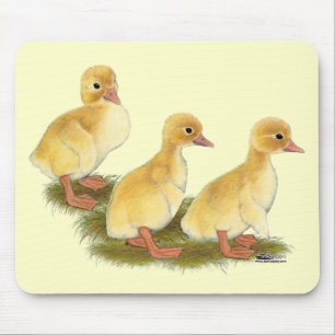 Gelben Entenküken Mousepad