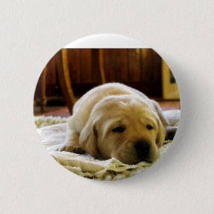 Gelber 2-Labrador-Welpe Button