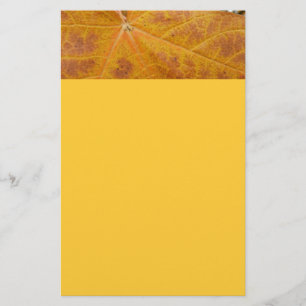Gelber Ahornblatt Herbst Abstrakt Natur Briefpapier