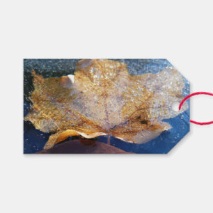 Gelber Ahornblätterblättriger Ahornblättriger, gef Geschenkanhänger