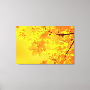Gelber Ahorngewölbte Canvas Leinwanddruck