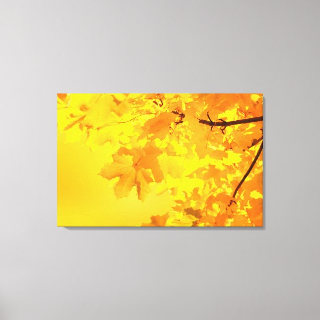 Gelber Ahorngewölbte Canvas Leinwanddruck (Vorderseite)