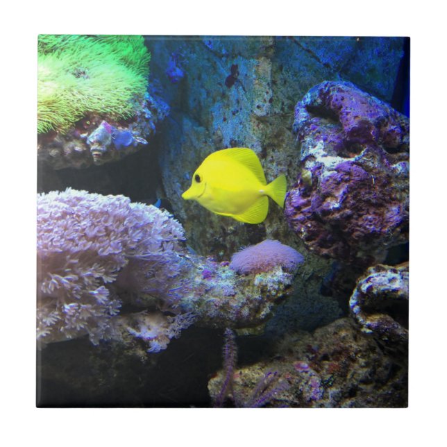 Gelber Angelfish Fliese (Vorderseite)