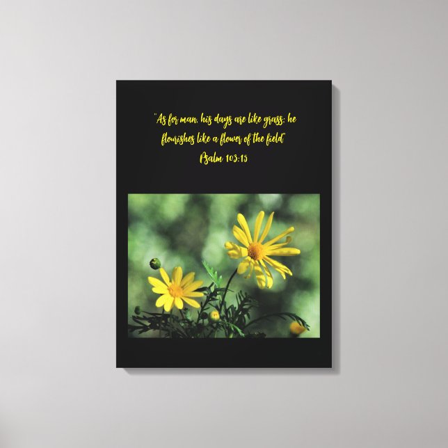 Gelber Aster Wildblumen Leinwanddruck (Vorderseite)