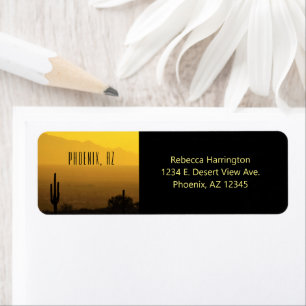 Gelber Bernsteinfaser Kaktus Phoenix Arizona