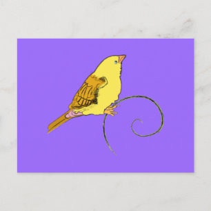 Gelber Bird Postkarte