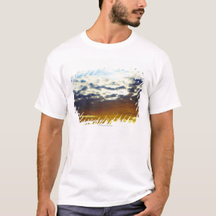Gelber blauer schwermütiger Sonnenuntergang mit T-Shirt