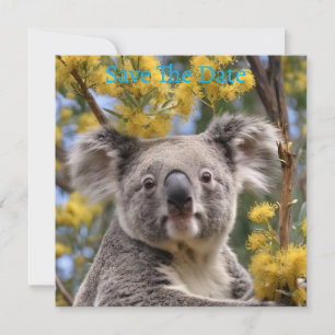 gelber, blühender Wattbaum mit Koala, Save The Date