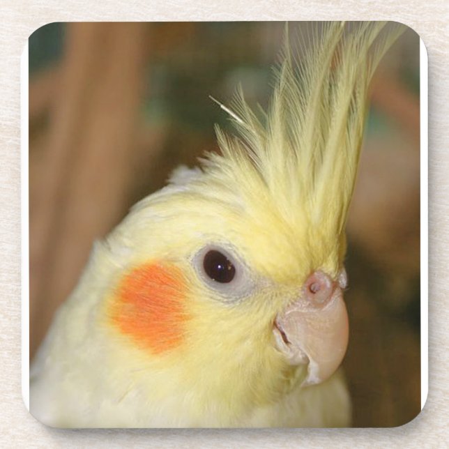 Gelber Cockatiel Untersetzer (Vorderseite)