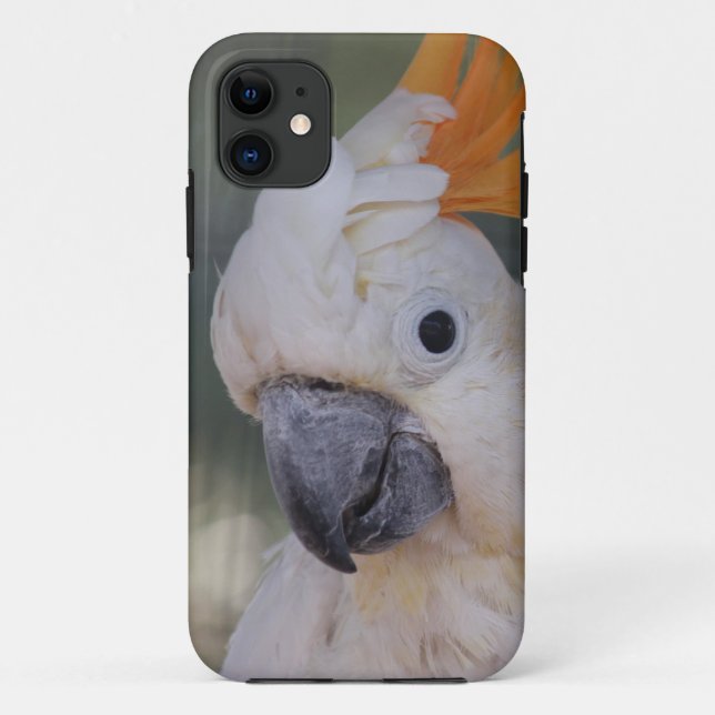 Gelber Cockatoo mit Haube (iPhone 5 Fall) Case-Mate iPhone Hülle (Rückseite)