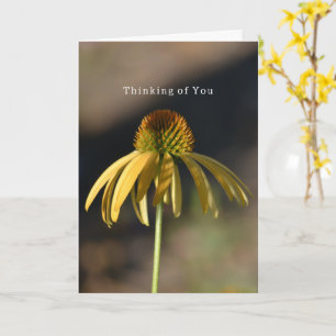 Gelber Echinacea Geburtstag (Fotografie von mir) Karte
