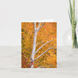 Gelber Fall Aspen Tree Karte