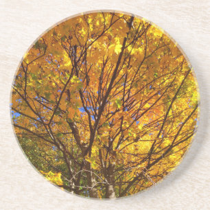 Gelber Fall Foliage Getränkeuntersetzer