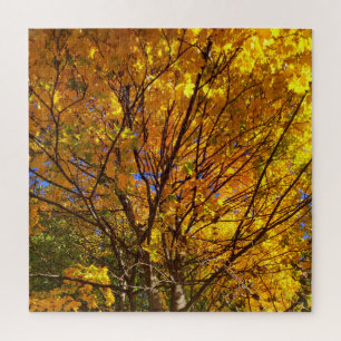 Gelber Fall Foliage Puzzle