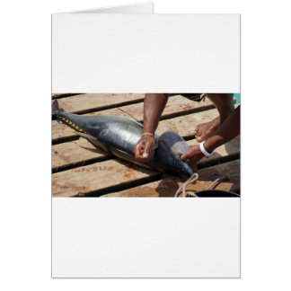 gelber Flossenthunfisch