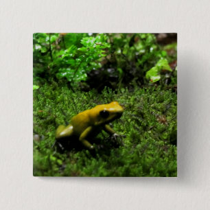Gelber Frosch Button