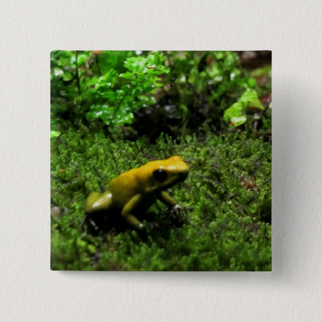 Gelber Frosch Button (Vorderseite)