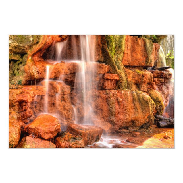 Gelber Frühling, Naturreservat Glen Helen, Ohio Fotodruck (Vorne)