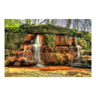 Gelber Frühling, Schlucht-Helen-Naturreservat, Fotodruck