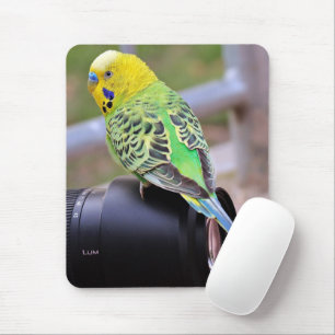 Gelber, grüner und blauer Exotic Bird auf Kamerasy Mousepad