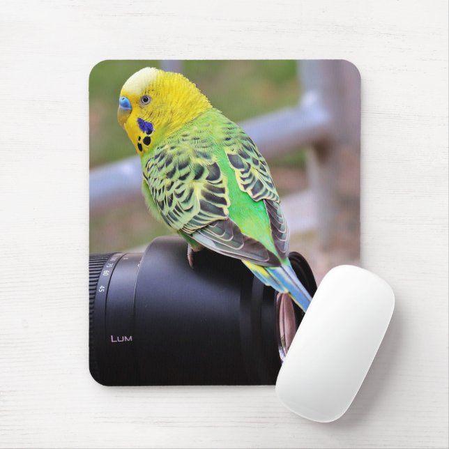 Gelber, grüner und blauer Exotic Bird auf Kamerasy Mousepad (Mit Mouse)