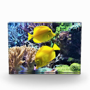 Gelber Hawaiianfisch Fotoblock