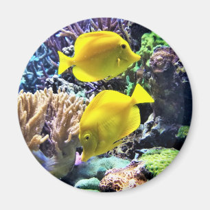 Gelber Hawaiianfisch Magnet