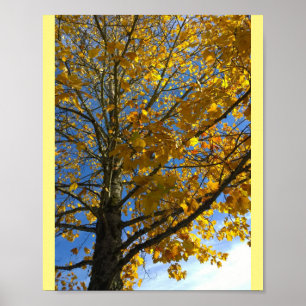 Gelber Herbstbaum Poster