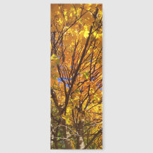 Gelber Herbstlaub