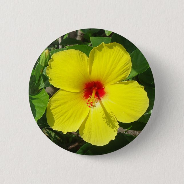 Gelber Hibiskus Button (Vorderseite)