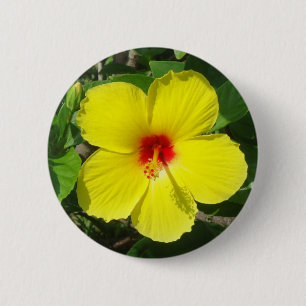 Gelber Hibiskus Button