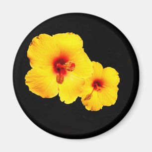 Gelber Hibiskus Magnet
