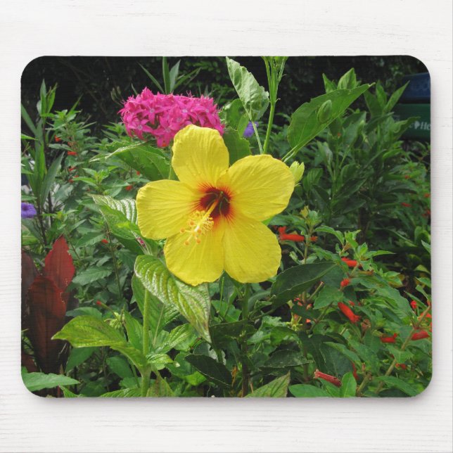 Gelber Hibiskus Mousepad (Vorne)