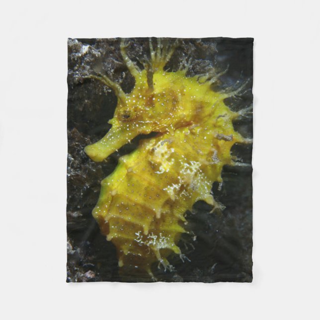 Gelber Hippokamp Guttulatus des Seepferd-| Fleecedecke (Vorderseite)