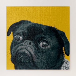 gelber Hund Puzzle