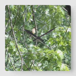 Gelber Kardinal Quadratische Wanduhr