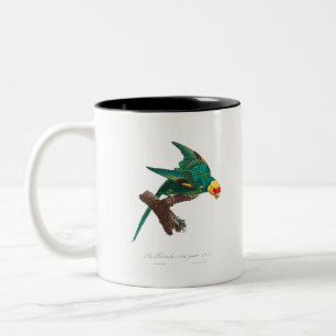 Gelber Kopf Grüner Papagei Zweifarbige Tasse